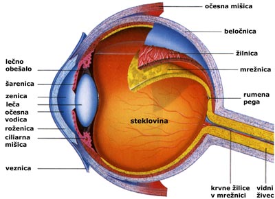 Optika Pirc